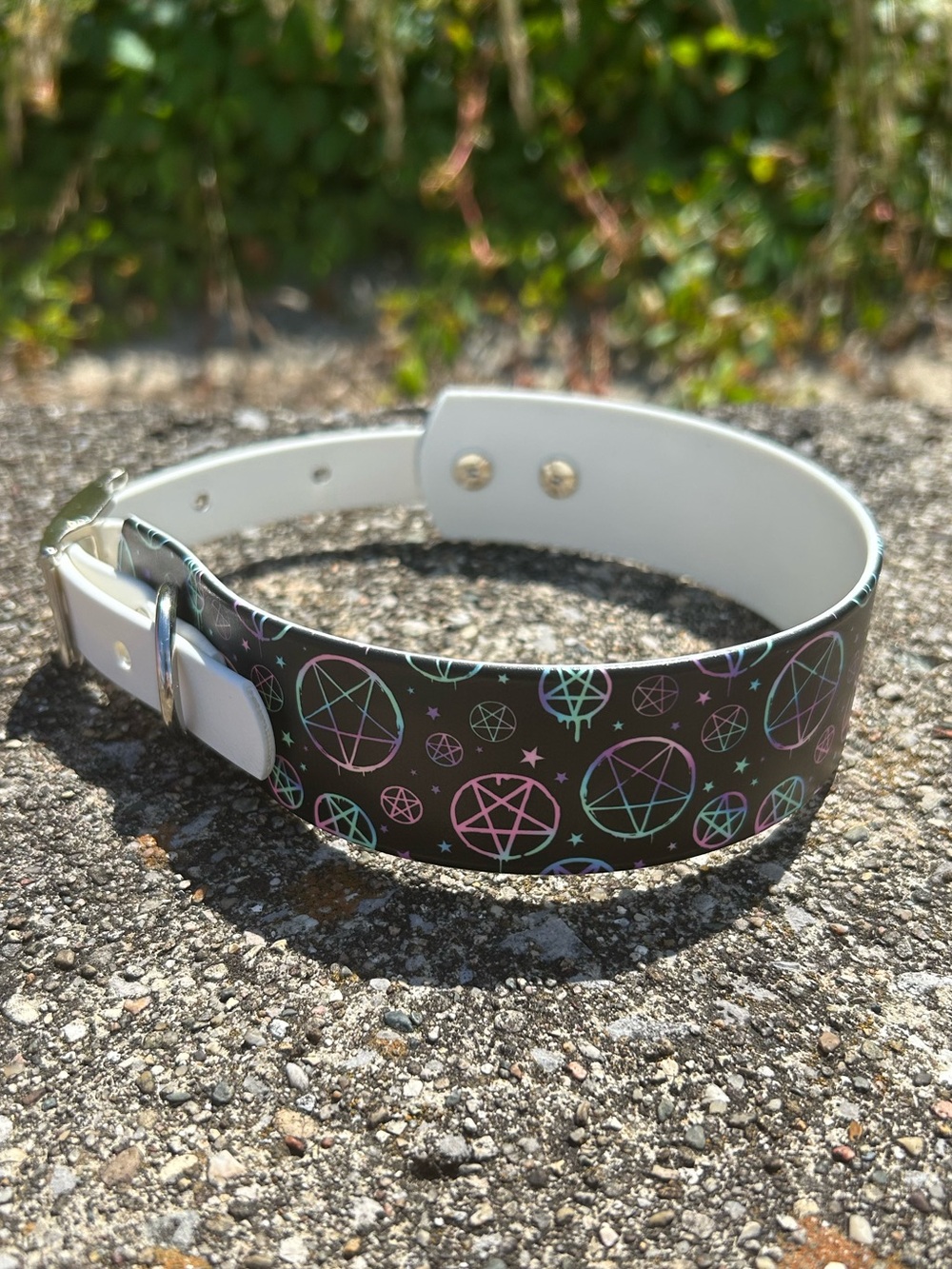 Biothane Collar -L1